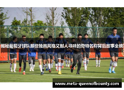 揭秘葡萄牙球队那些独具风格又耐人寻味的奇特名称背后故事全貌