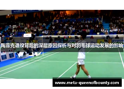 陶菲克退役背后的深层原因探析与对羽毛球运动发展的影响 陶菲克退役背后的深层原因探析与对羽毛球运动发展的影响