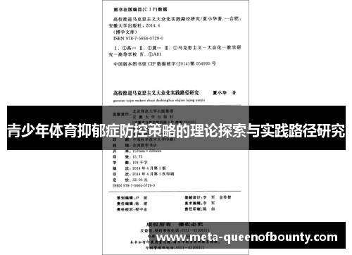 青少年体育抑郁症防控策略的理论探索与实践路径研究