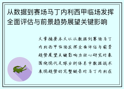 从数据到赛场马丁内利西甲临场发挥全面评估与前景趋势展望关键影响